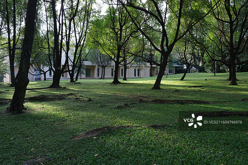 新加坡国立大学校园景观图片素材