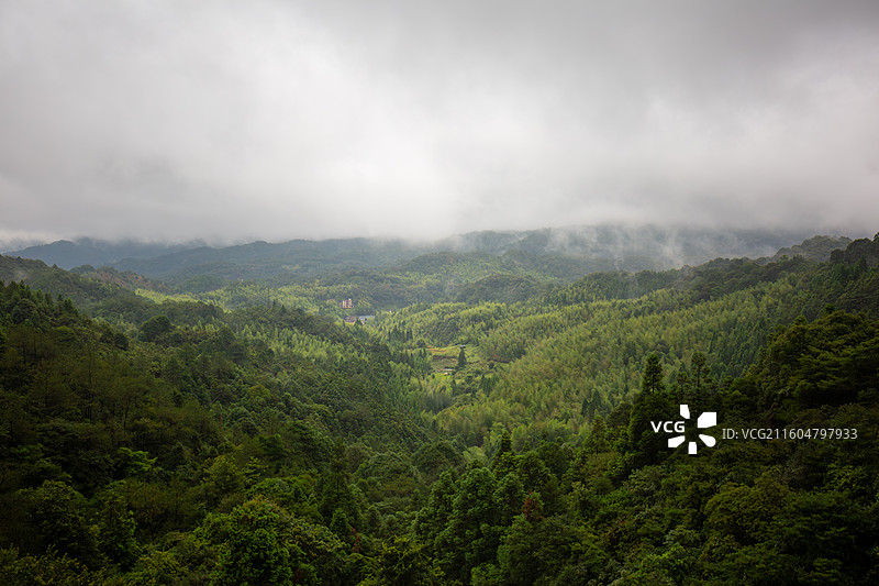 福建华安贡鸭山云雾缭绕的山谷景观图片素材