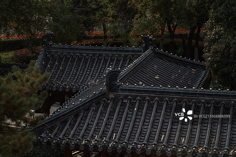 济宁市南池公园一角图片素材