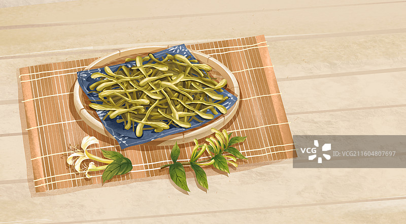中药材金银花忍冬插画图片素材