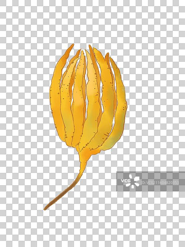 古风水墨佛手柑图片素材