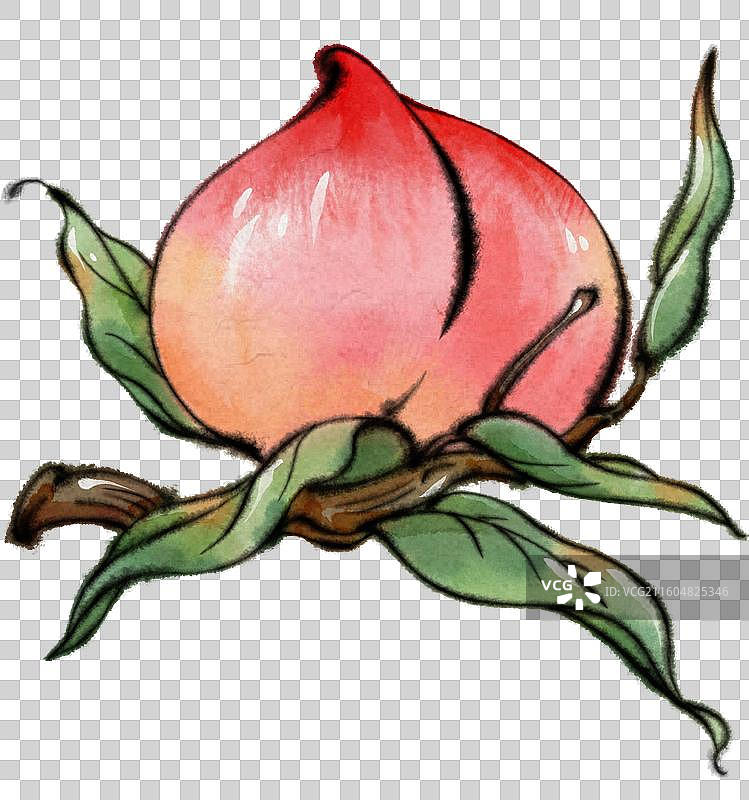 寿桃仙桃桃子水蜜桃蟠桃图片素材