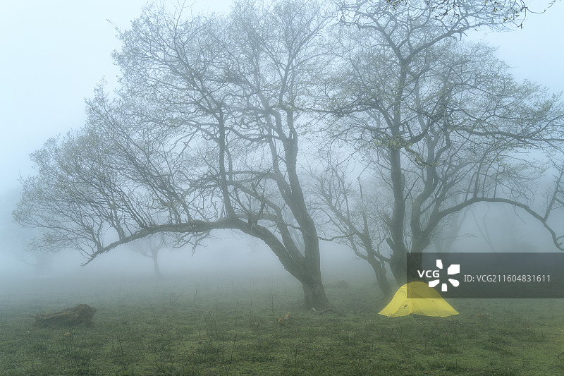 大雾天气下昆明轿子雪山神仙坝下的露营者图片素材