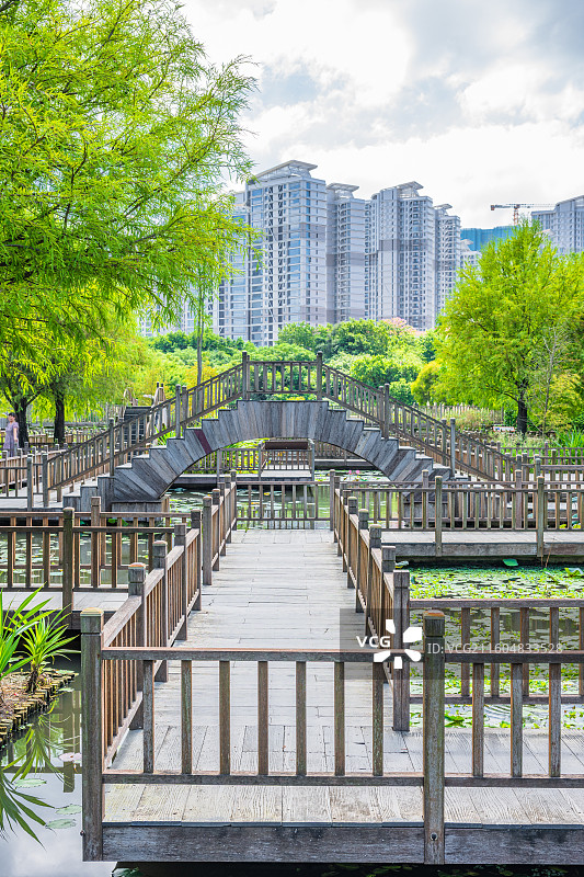 厦门五缘湾湿地公园中的木质栈道与现代建筑图片素材