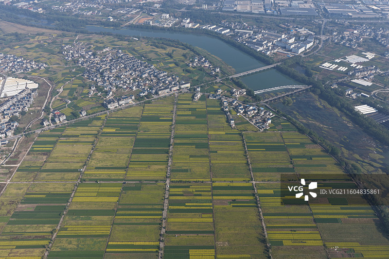 松阳茶叶种植基地新型现代农业田野航拍大地色彩图案河流沙洲图片素材