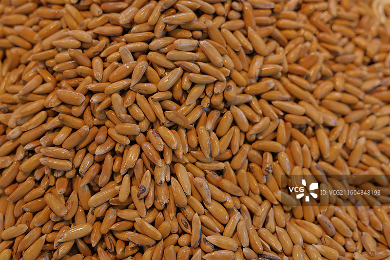 铺满整个画幅的一堆巴西松子图片素材