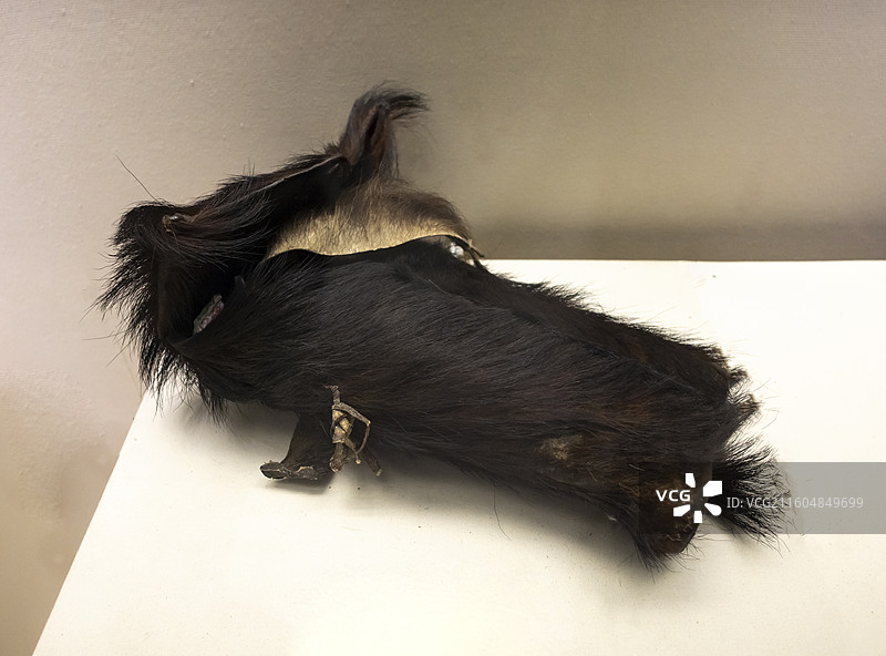 熊皮箭袋  20世纪60-70年代 廊坊博物馆图片素材