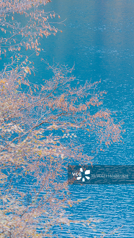 九寨沟秋季绝美秋景和水景图片素材