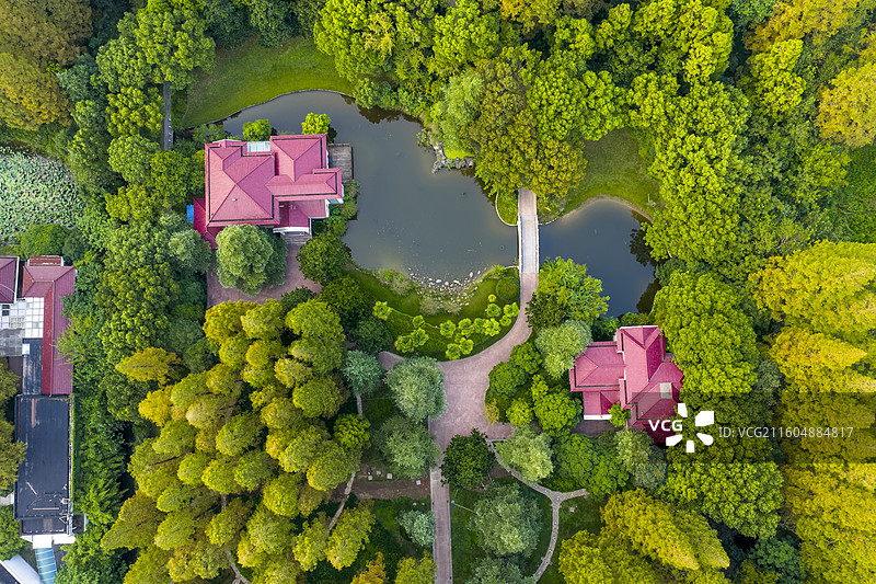 崇明岛上水杉林的度假别墅图片素材