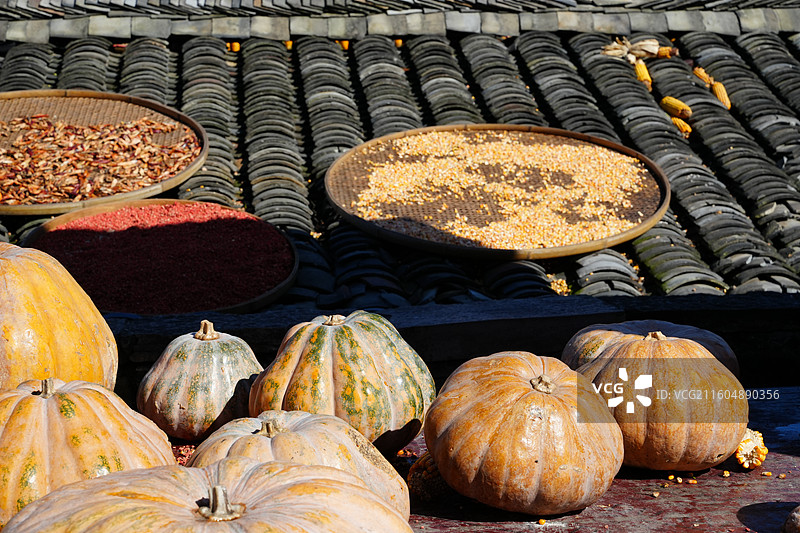 浙江 余姚 四明山 柿林村 古村落 乡村 丰收 收获 喜庆 场景图片素材