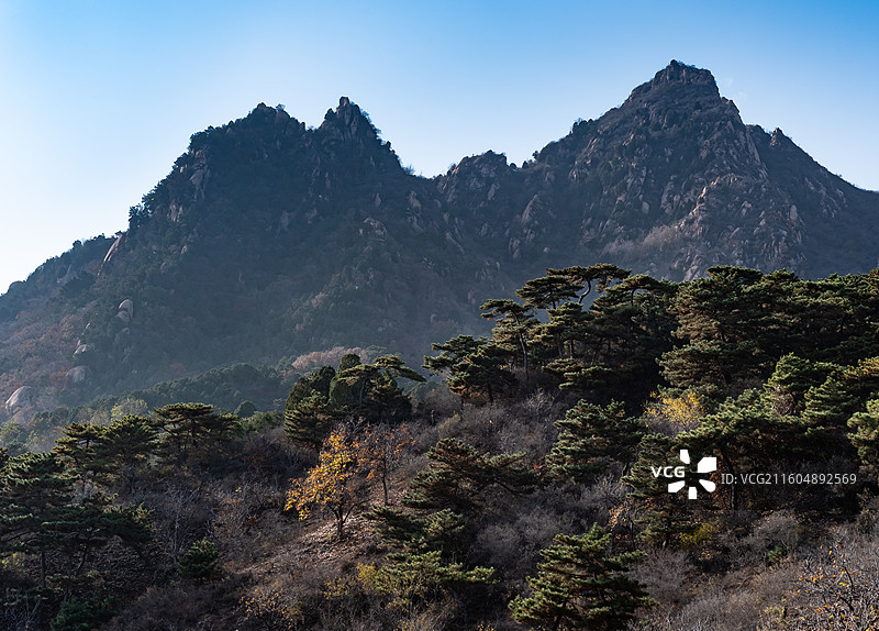 北京昌平铁壁银山迎客松图片素材