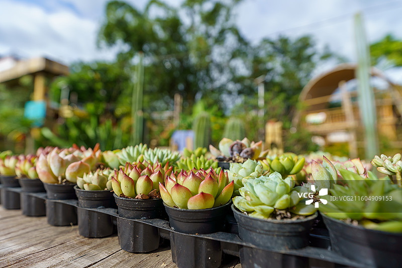 肉肉特写图图片素材
