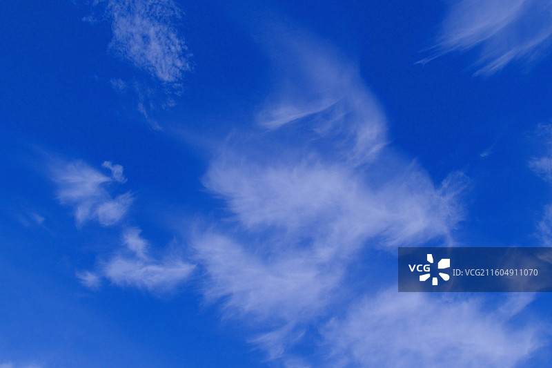 秋天初冬蓝色天空白云背景图壁纸。柳树柳条夕阳湖水黄叶落叶图片素材