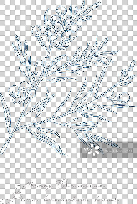 抽象的松树植物图案图片素材