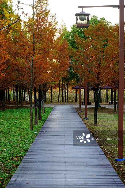 淮安古淮河文化生态景区图片素材