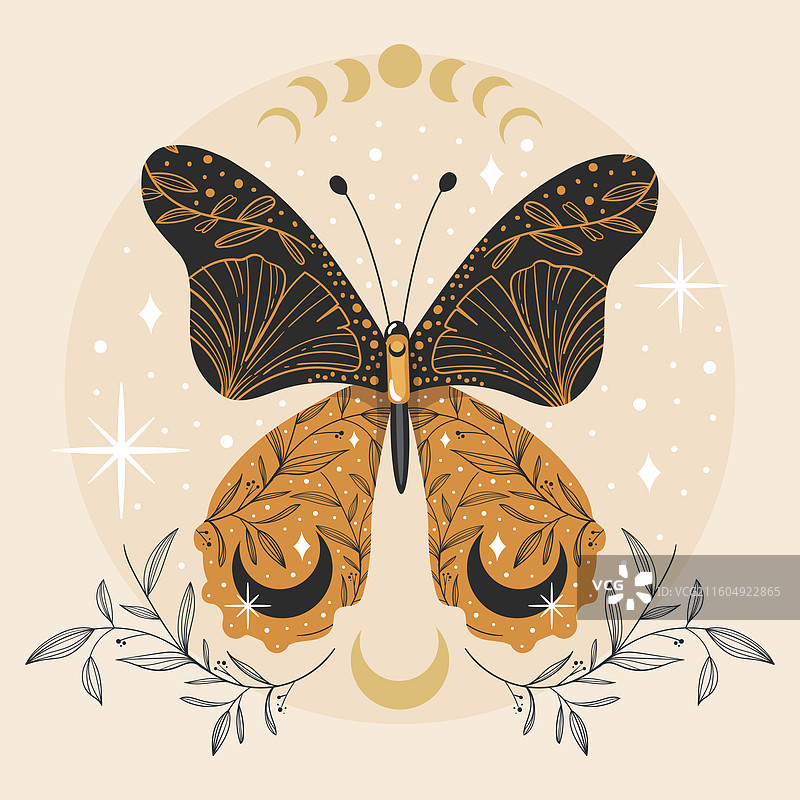 神秘的蝴蝶纹身图片素材