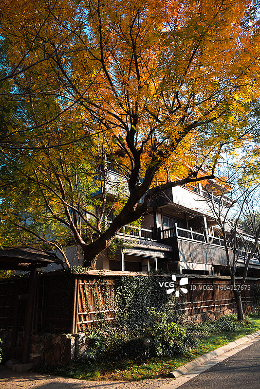 拈花湾的建筑图片素材