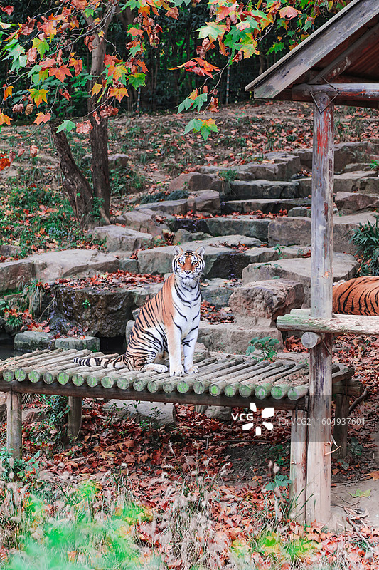 扬州市茱萸湾景区图片素材