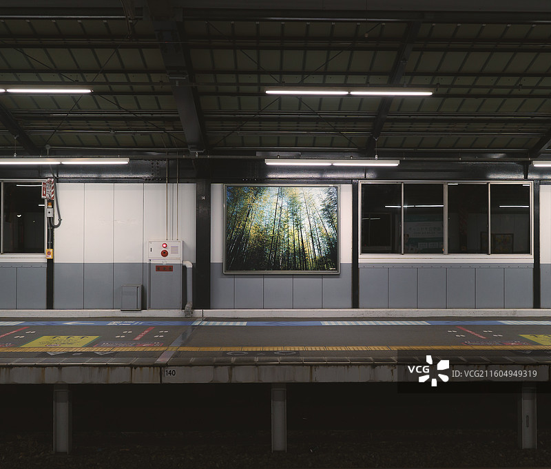 笼中之夏图片素材