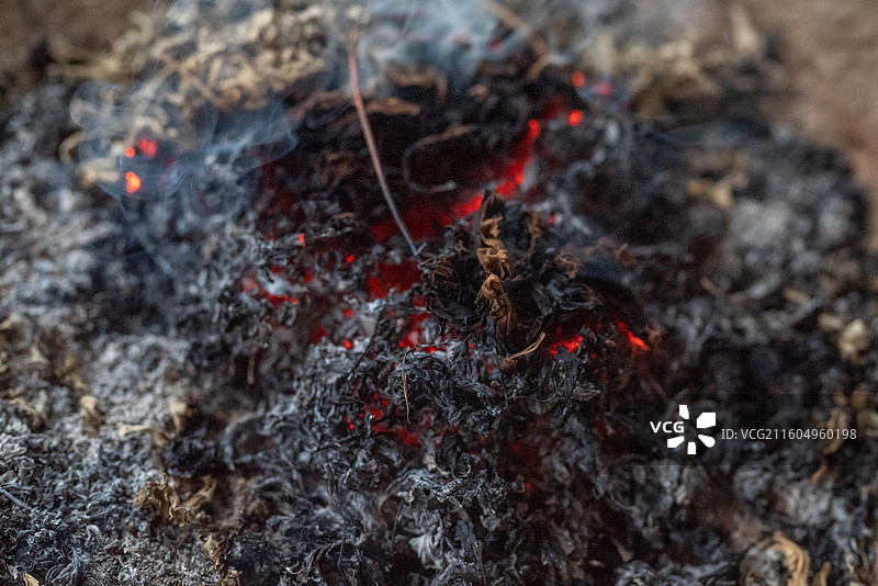 燃烧艾草 艾草燃烧 点燃艾草 艾叶图片素材