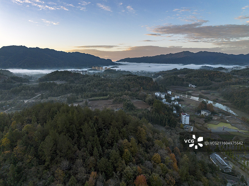 龙船水乡的早晨图片素材