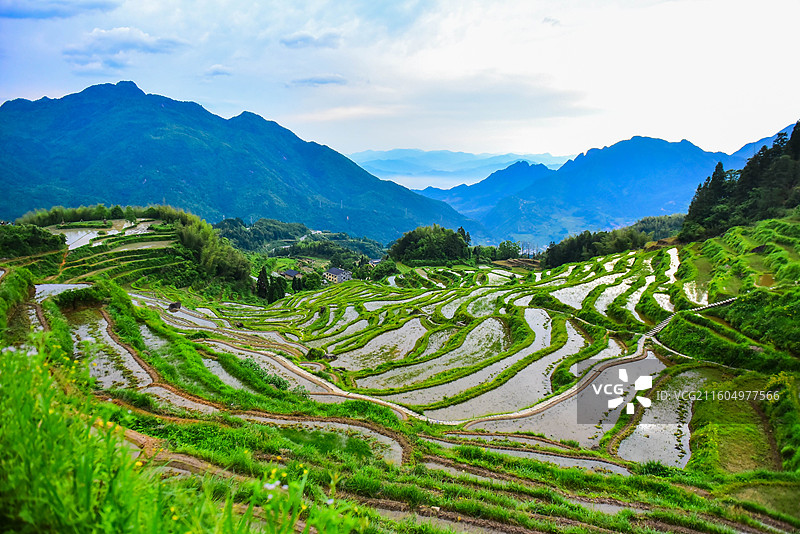 丽水云和梯田图片素材