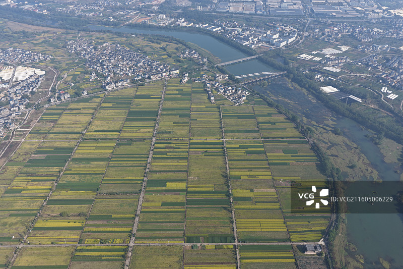 松阳茶叶种植基地新型现代农业田野航拍大地色彩图案河流沙洲图片素材