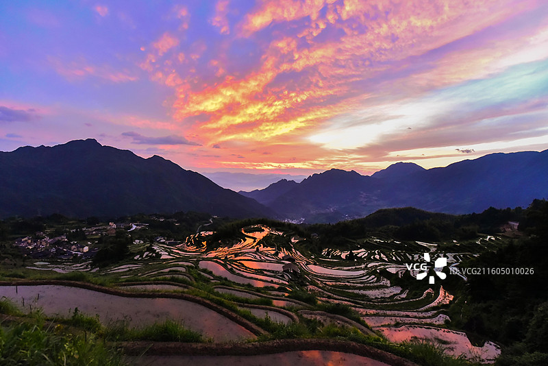 丽水云和梯田图片素材