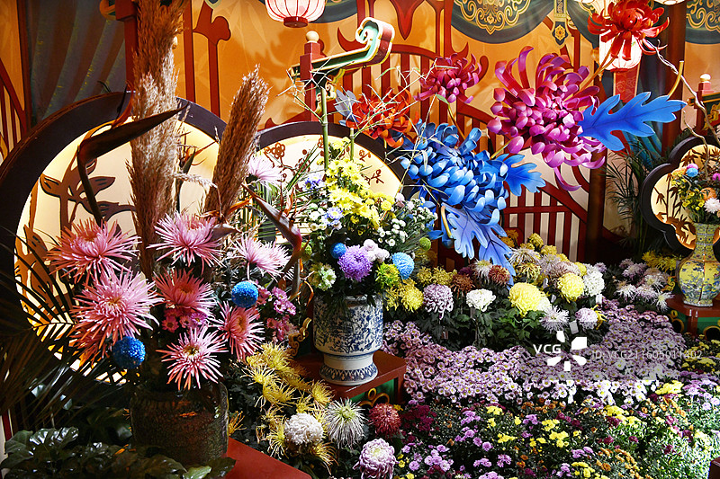 河南开封清明上河园国际菊花展图片素材