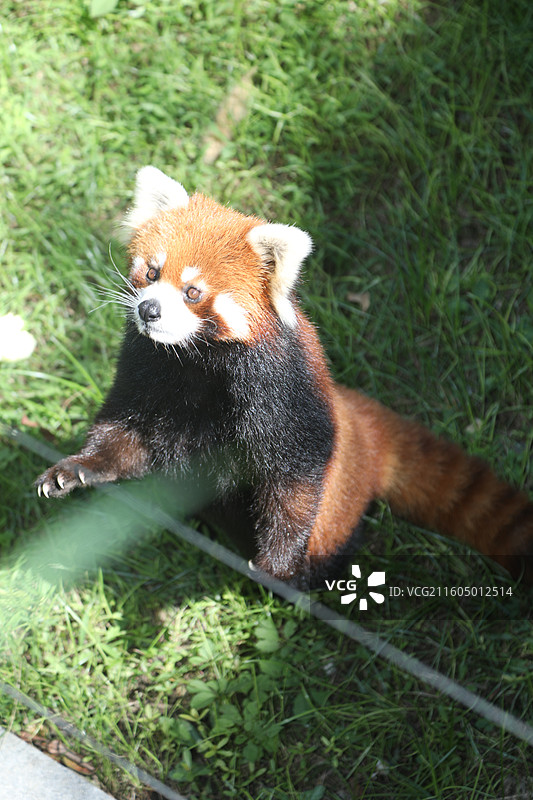 扬州市茱萸湾景区图片素材