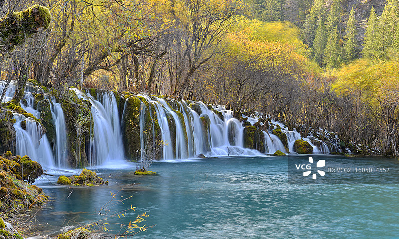 秋季森林瀑布的低角度视图，箭竹海瀑布，国内著名旅游目的地，四川九寨沟图片素材