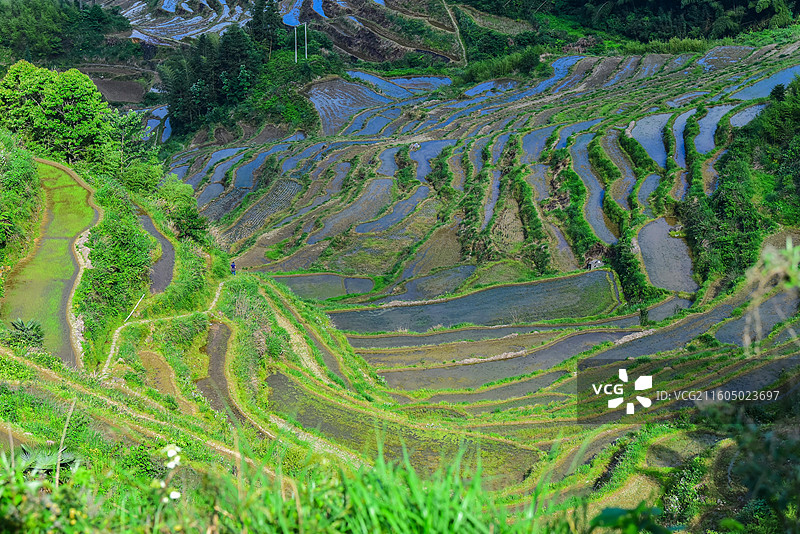 丽水云和梯田图片素材