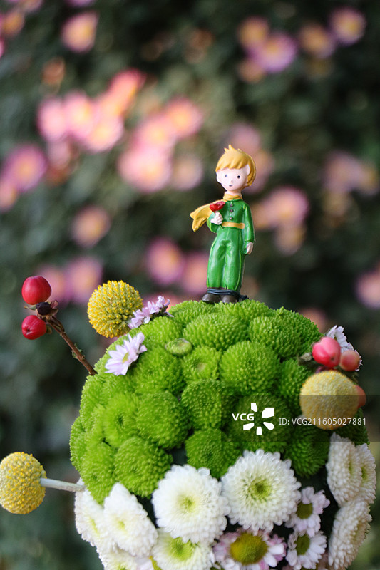 南宁青秀山菊花展图片素材