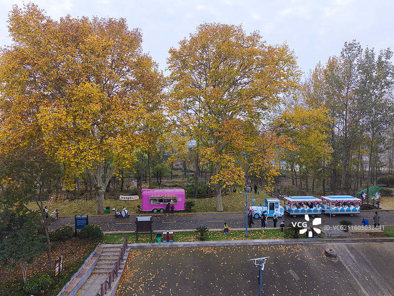梧桐大道成水晶之都网红打卡点图片素材