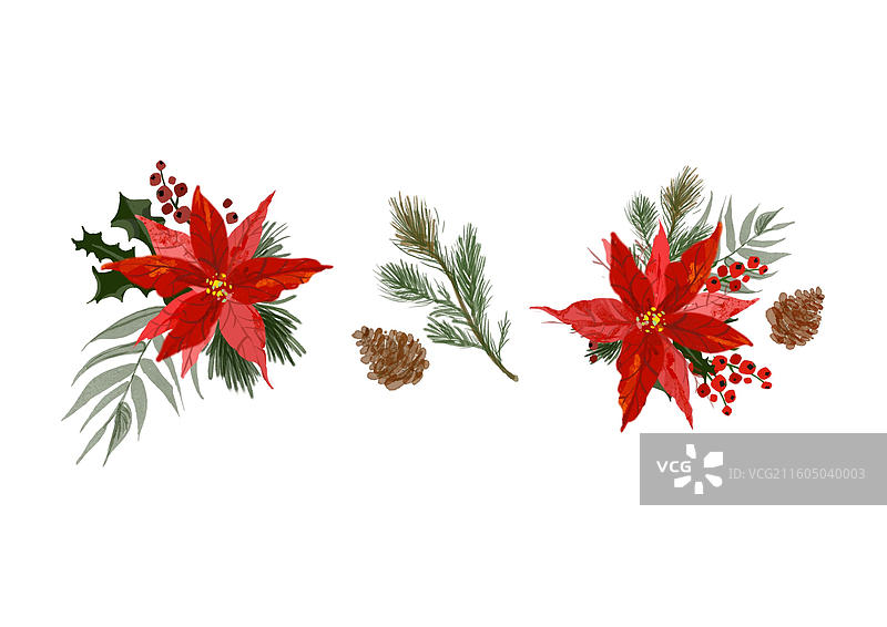 圣诞红水彩肌理节日插画图片素材