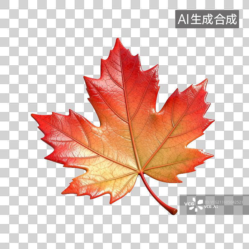 【AI数字艺术】红黄色渐变枫叶图片素材