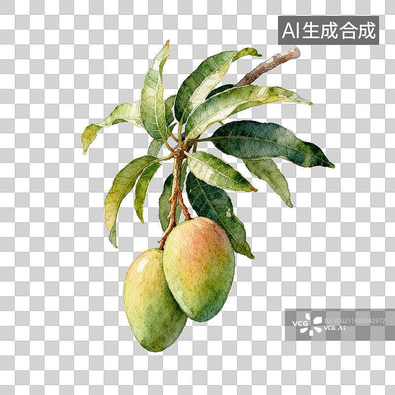 【AI数字艺术】水彩绘芒果枝与果实图片素材