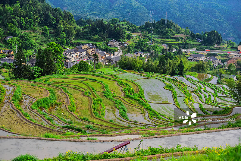 丽水云和梯田图片素材