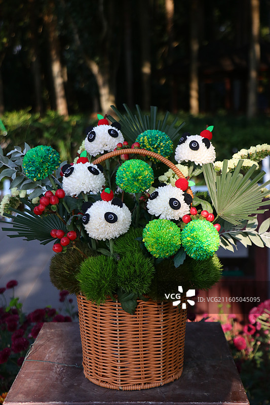 南宁青秀山菊花展图片素材