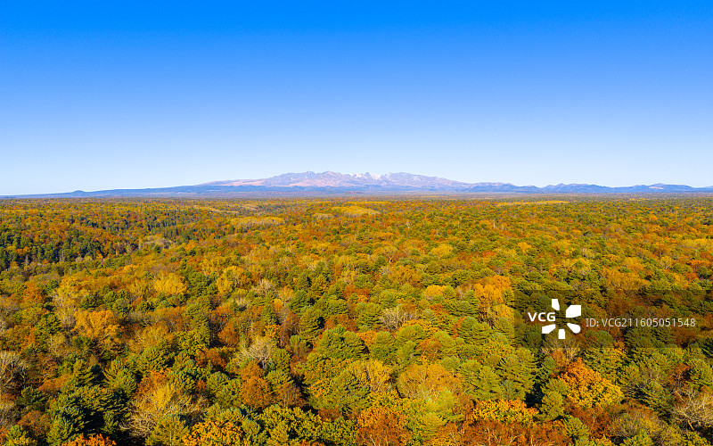 秋天航拍远望长白山天池山峰和森林彩树风光图片素材