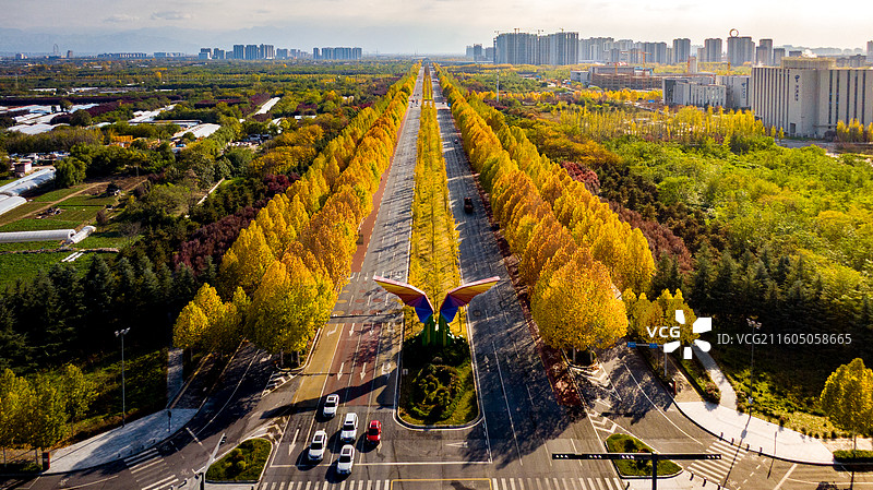 沣西新城丰邑大道图片素材