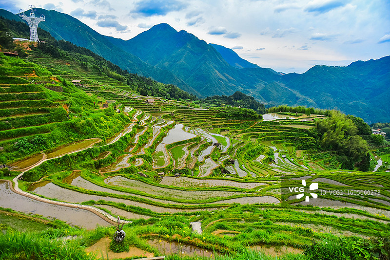 丽水云和梯田图片素材