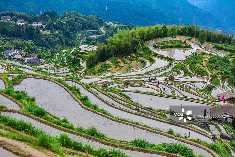 丽水云和梯田图片素材