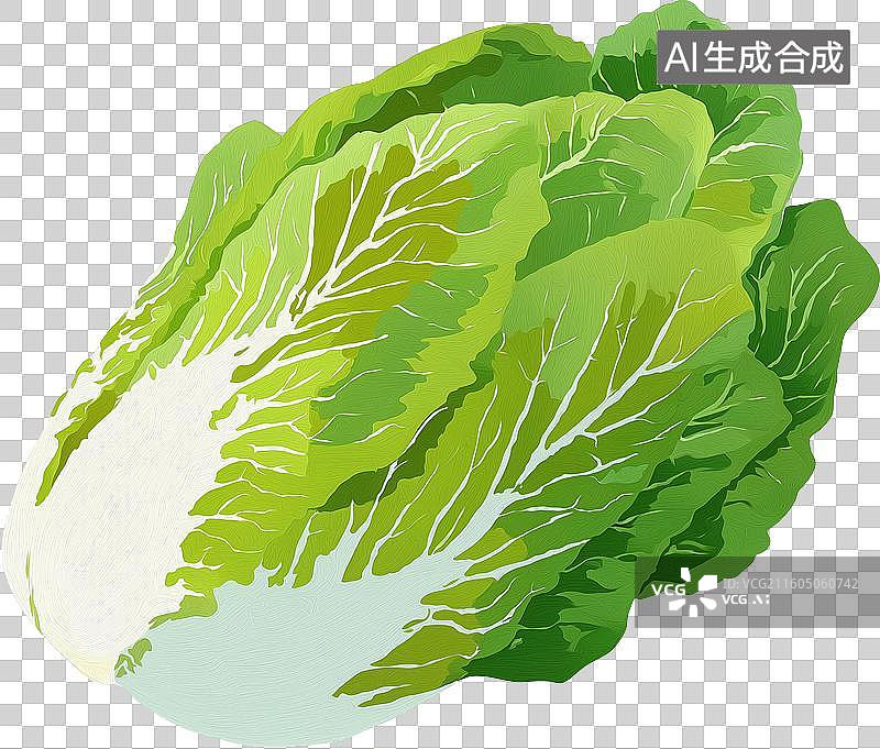 【AI数字艺术】白菜图片素材