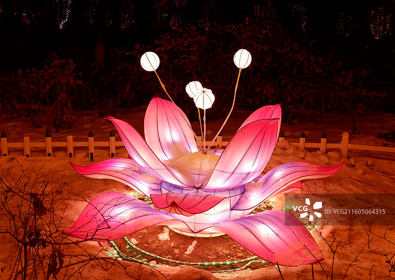 莲花花灯的低角度视图图片素材