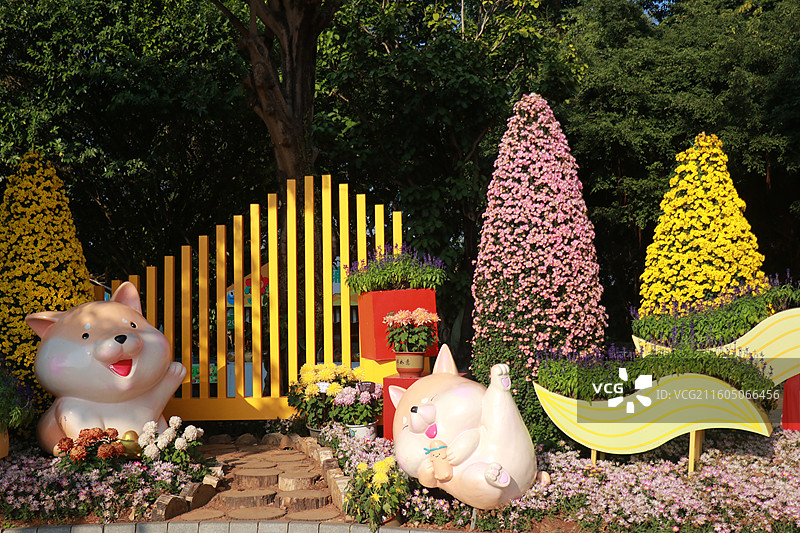 南宁青秀山菊花展图片素材