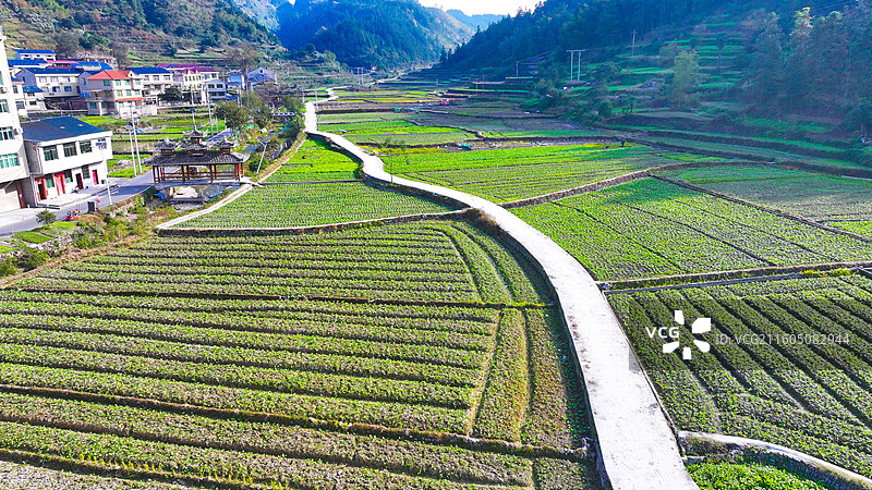 贵州锦屏大同村田园风光图片素材