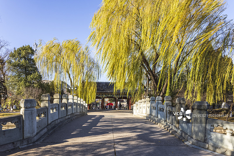 立冬时节北京大学燕园深秋五彩斑斓图片素材