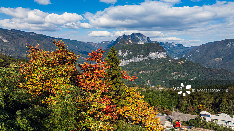 湖北恩施太阳河乡石乳关深秋时节色彩斑斓美如画卷图片素材