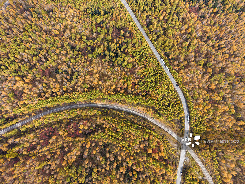 航拍秋景兴安落叶松下的公路，黄绿相间的松树，最美公路，秋摄，内蒙古呼伦贝尔图片素材